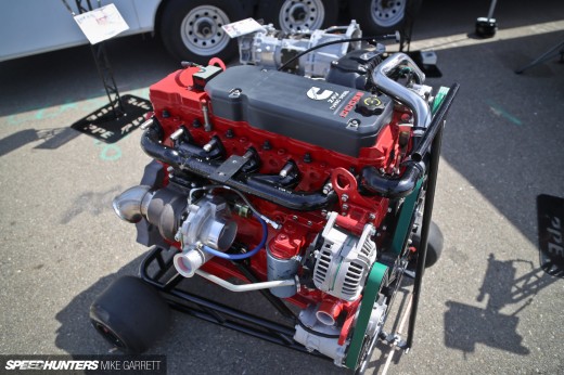 NHRDA-Famoso-74&nbsp;copy