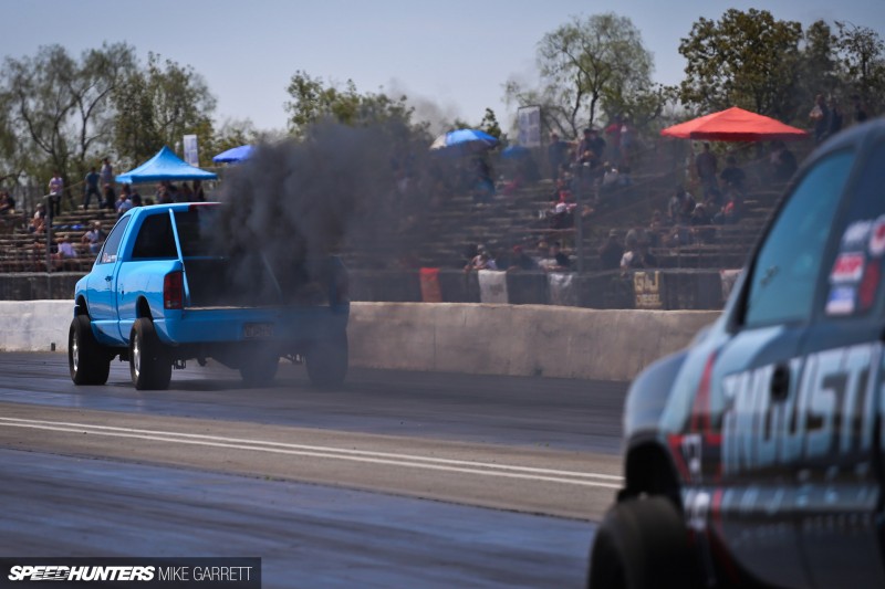 NHRDA-Famoso-51&nbsp;copy