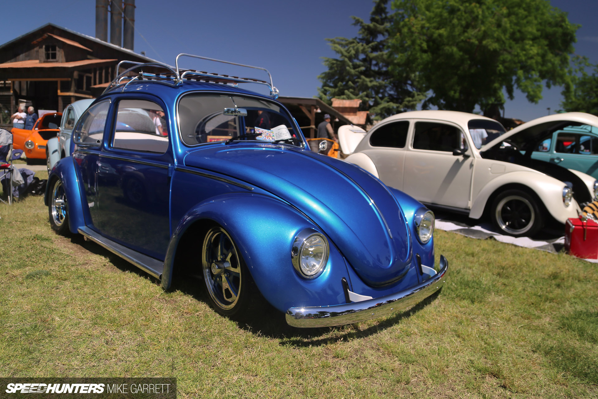 Spring Fling:</br> The Wonderful World Of VWs