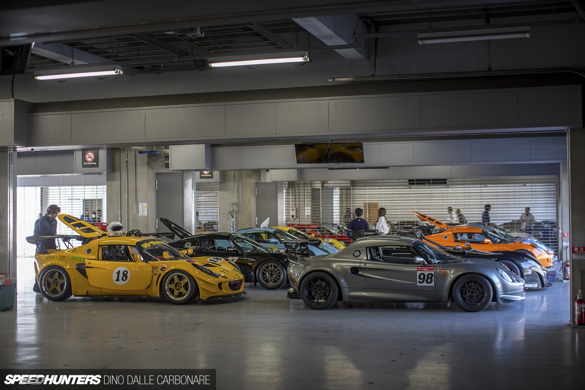 Japan-Lotus-Day-15-01