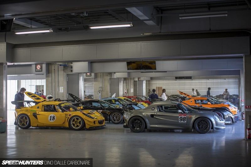 Japan-Lotus-Day-15-01