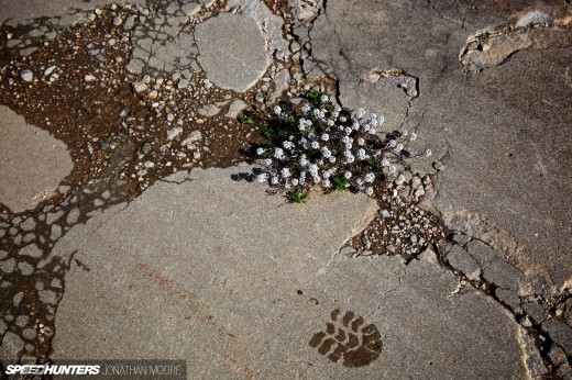 The fifth edition of the Espíritu de Montjuïc classic racing festival, held at the Circuit De Catalunya near Barcelona in Spain, 17-19 April&nbsp;2015