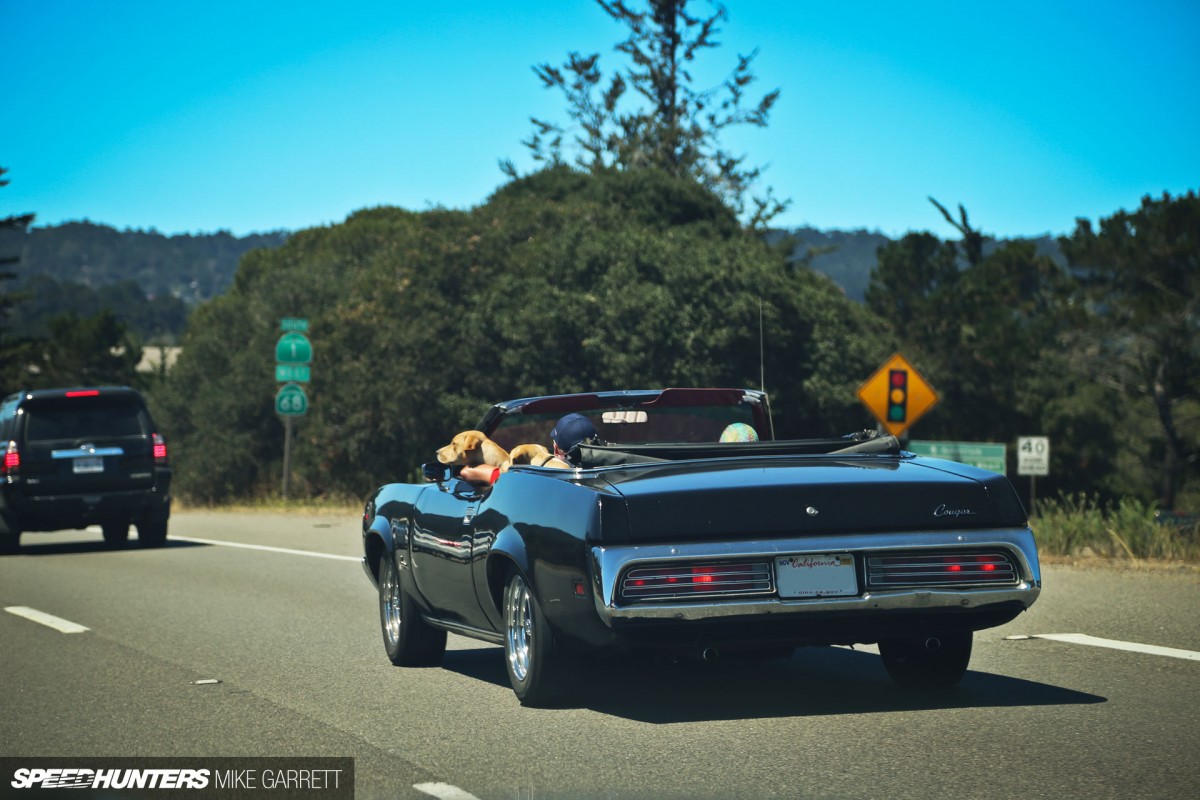 Monterey-Sightings-3-2 copy