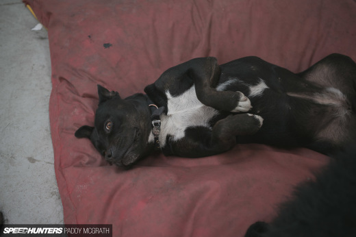 2016 Project GTI Air Lift Performance Install by Paddy&nbsp;McGrath-14