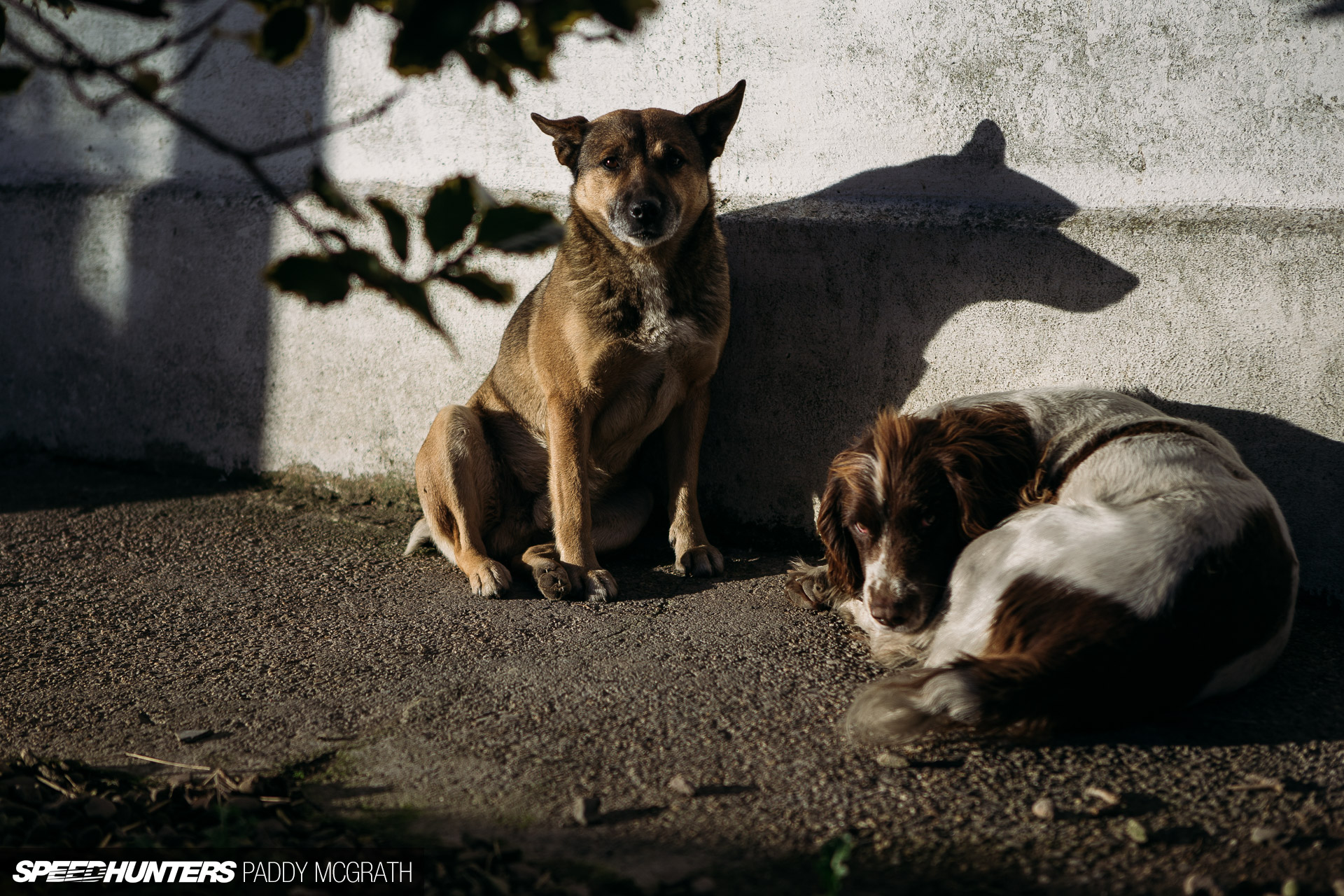 2016 DEANEMSPORT Speedhunters by Paddy McGrath-33