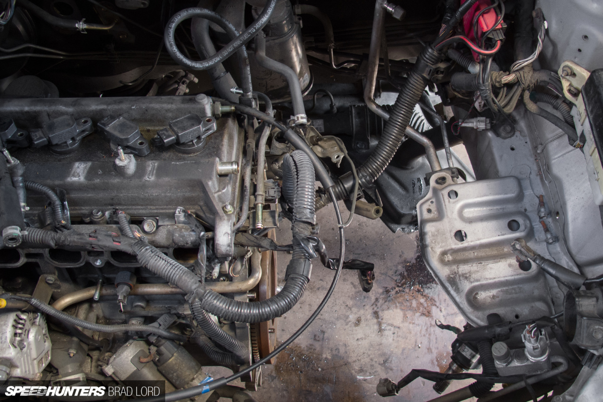 SH_BL_ZEBRA_VITZ-RS_6427