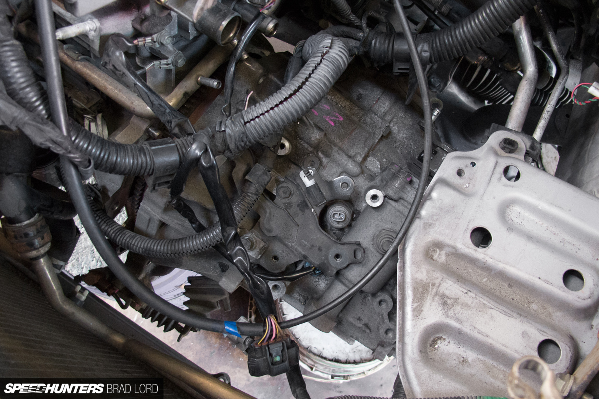 SH_BL_ZEBRA_VITZ-RS_6422