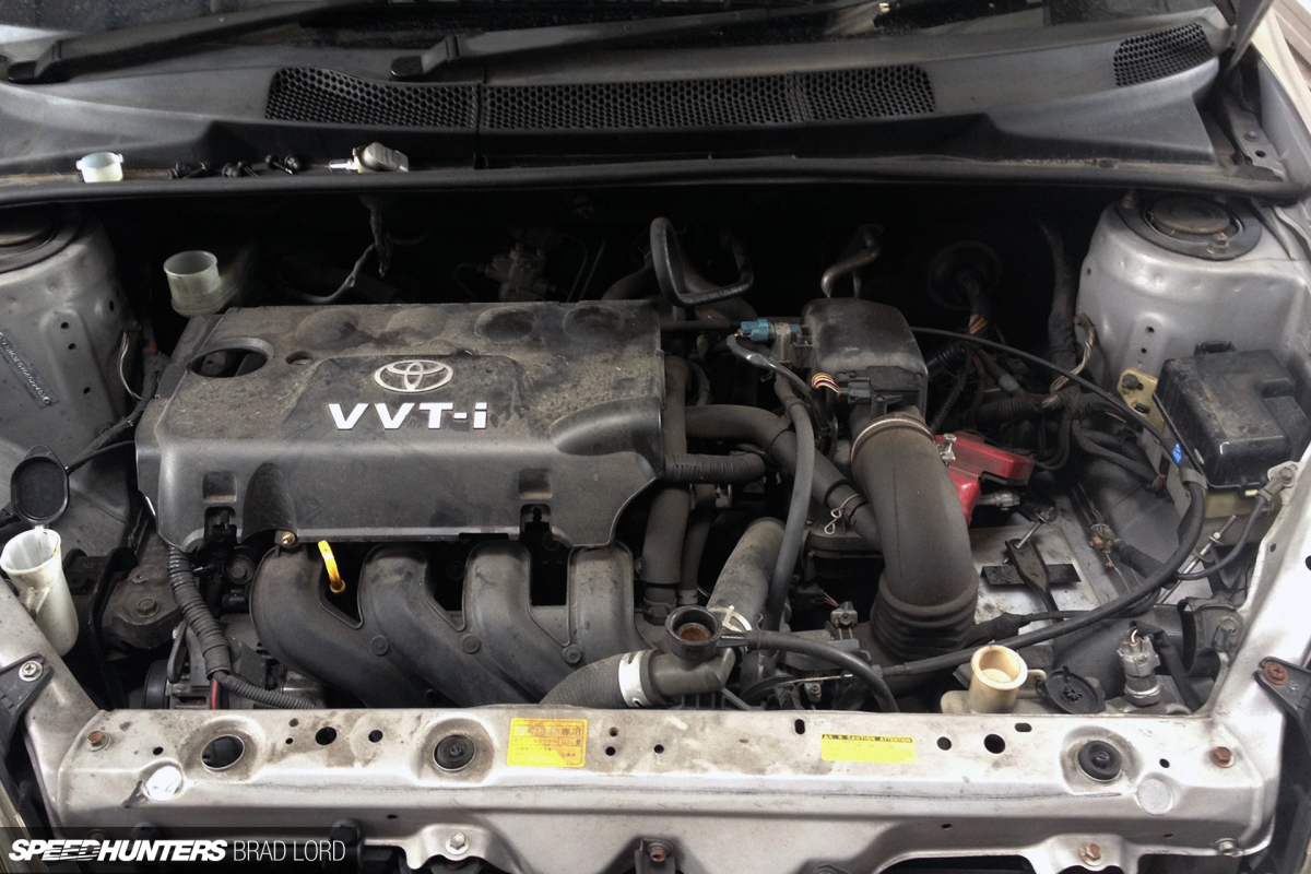 SH_BL_ZEBRA_VITZ-RS_1108N