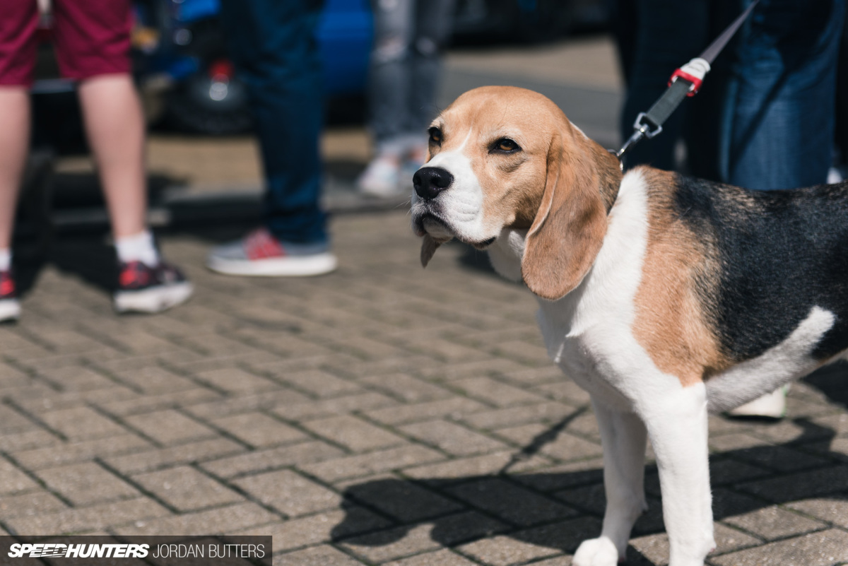 meguiars-BBQ-2017-jordanbutters-speedhunters-4062