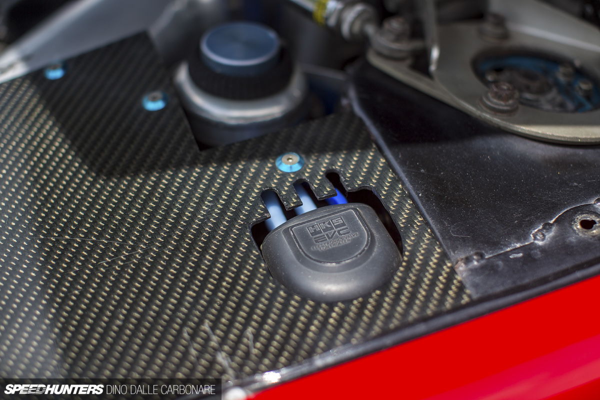 s13_kl_dino_dalle_carbonare_12