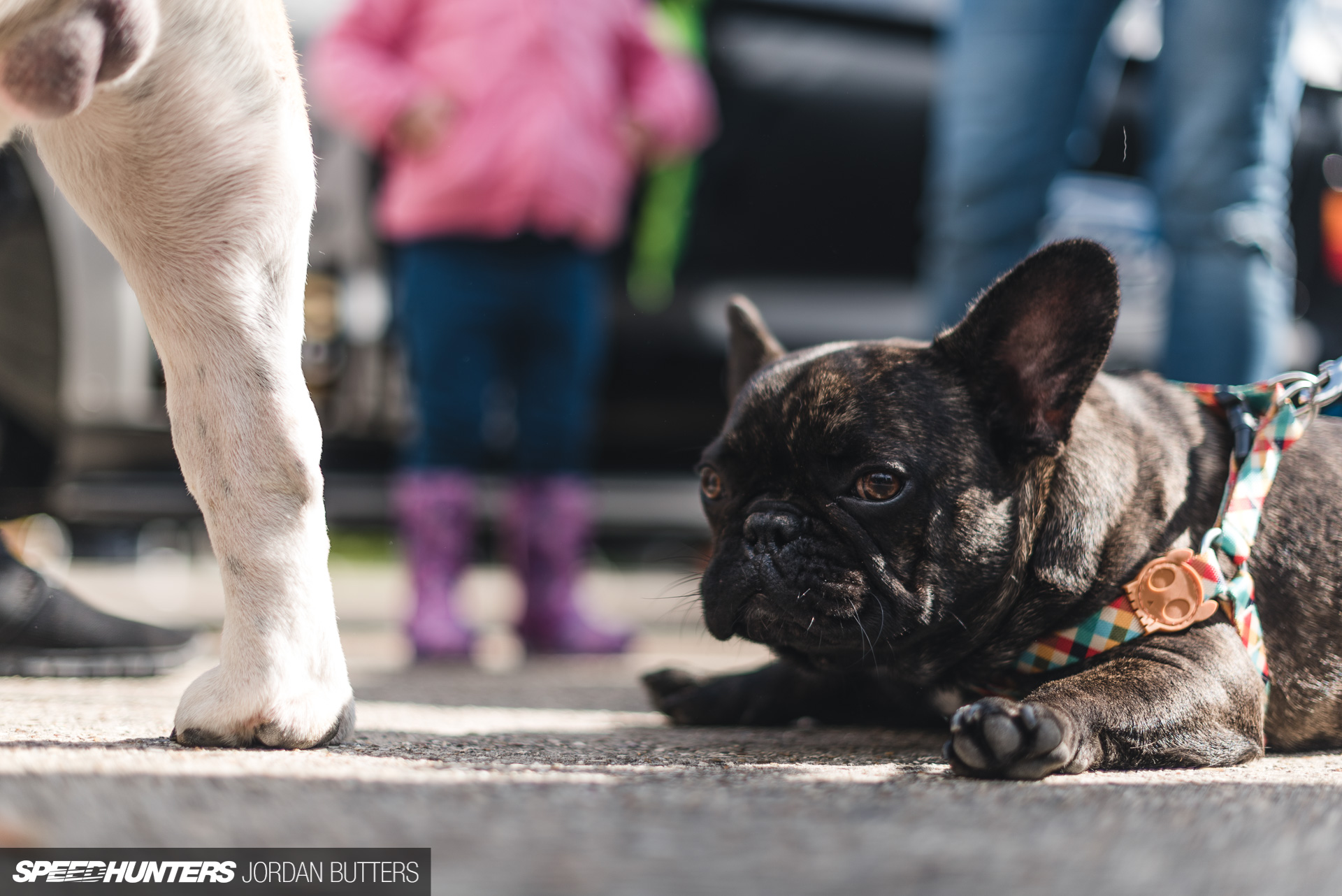 players-show-2017-jordanbutters-speedhunters-7561