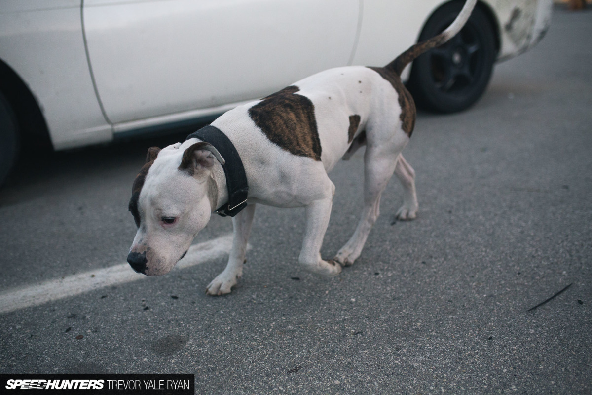 2018-SH-Drift-Cave-Trevor-Ryan_006