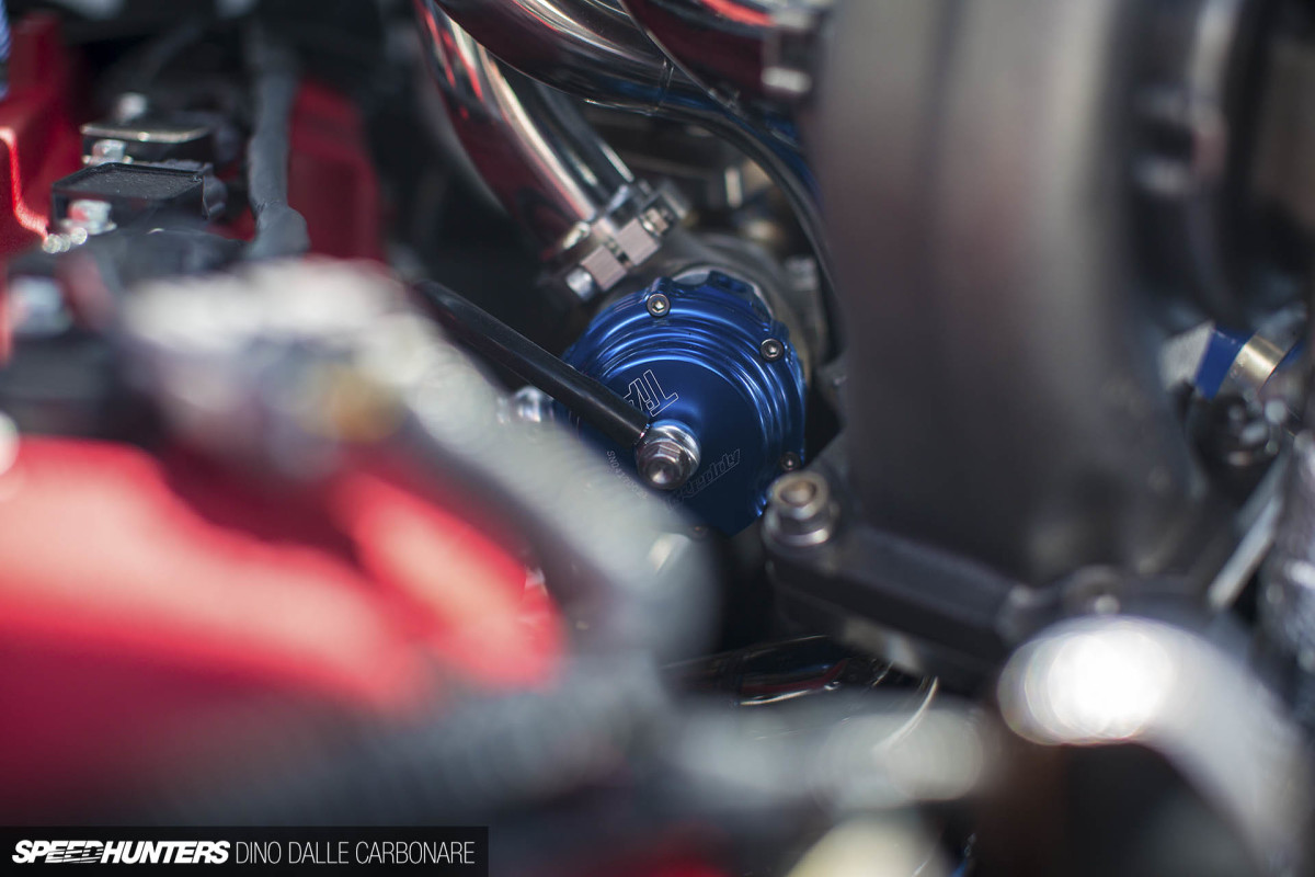 trust_patrol_dino_dalle_carbonare_11