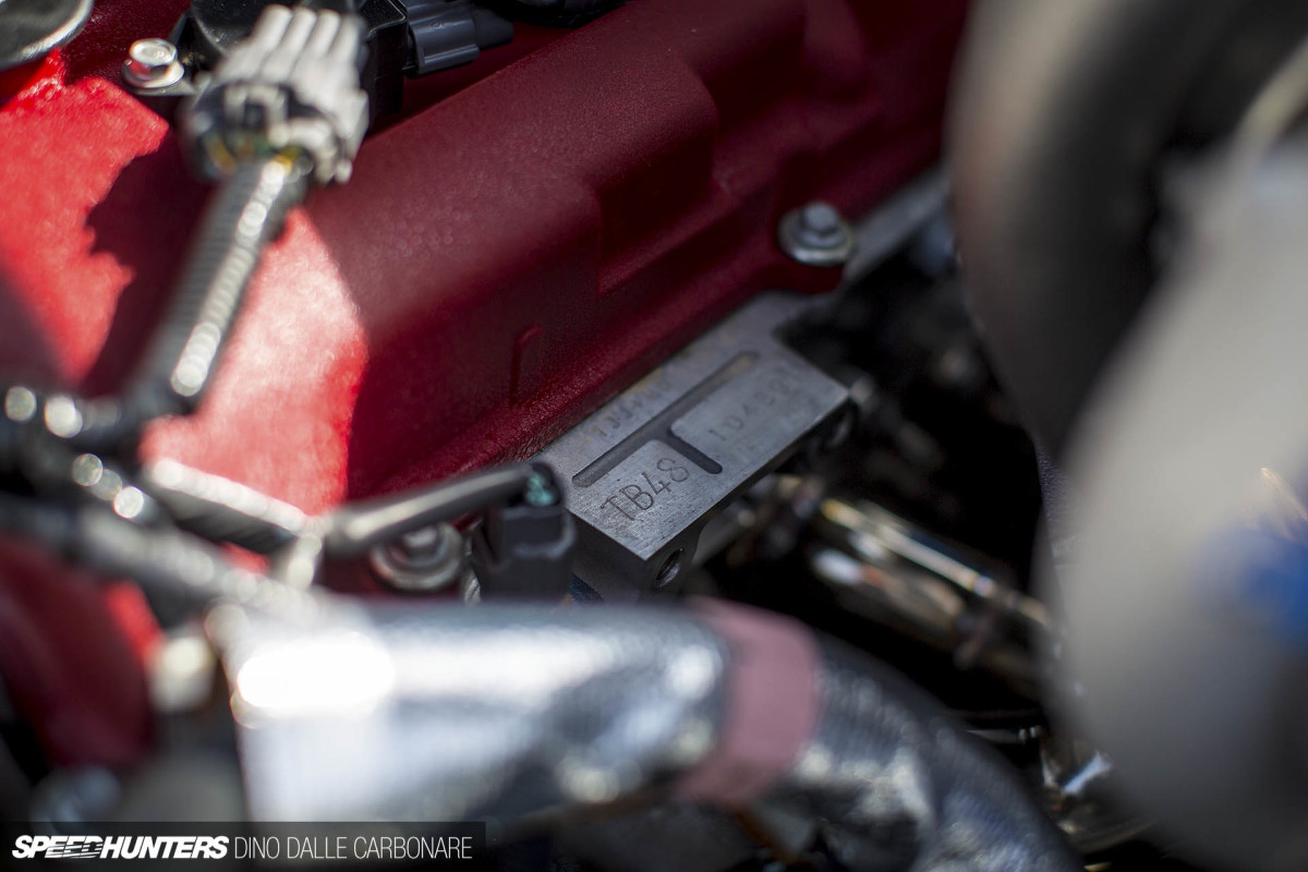 trust_patrol_dino_dalle_carbonare_16