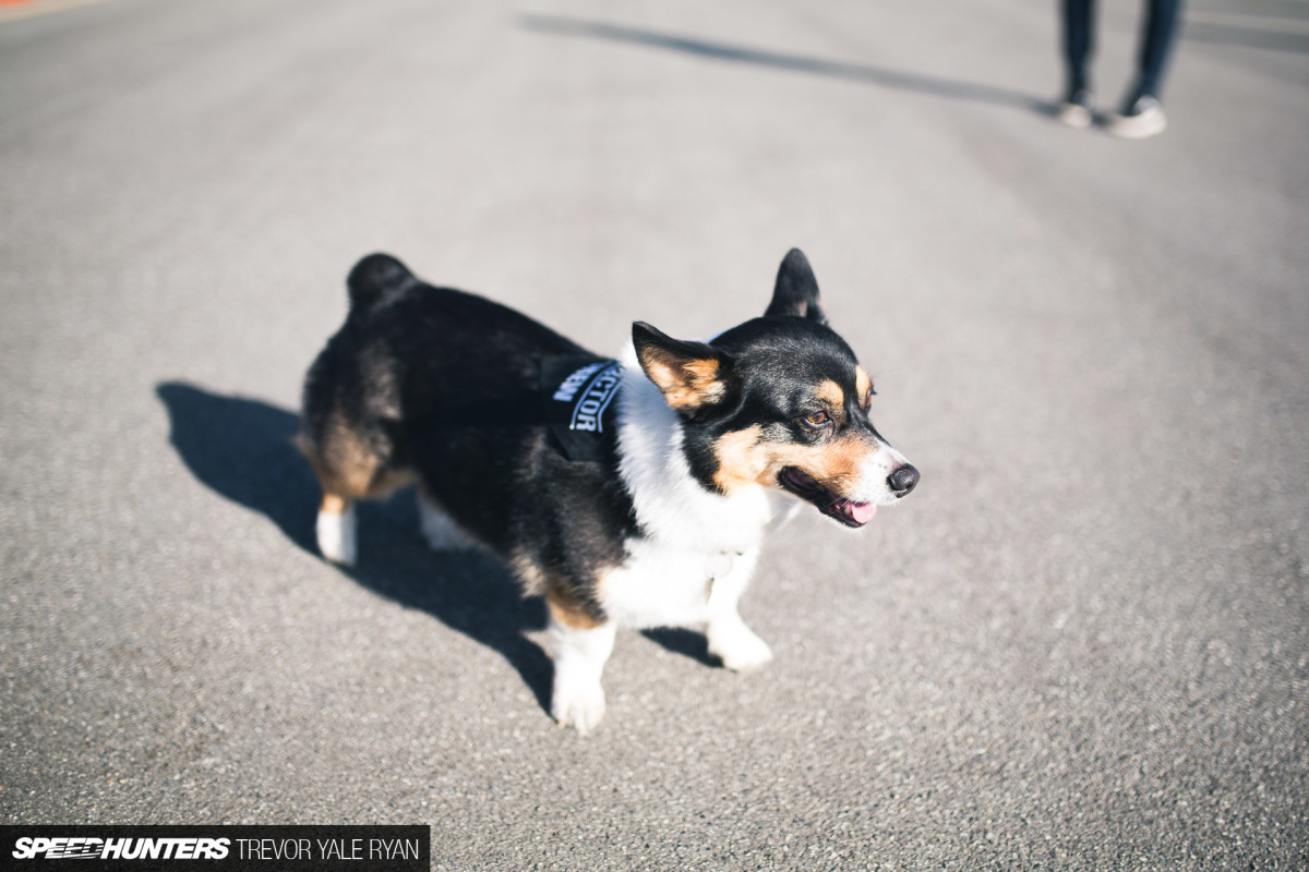 2018-SH-Never-Lift-Coverage-Trevor-Ryan_013