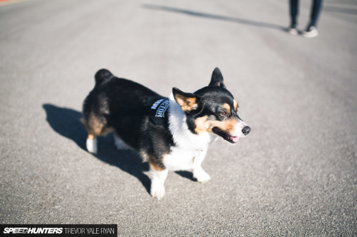 2018-SH-Never-Lift-Coverage-Trevor-Ryan_013