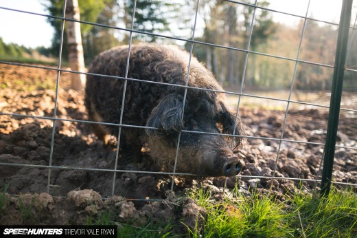 2018-SH-Jaden-GTR-Trevor-Ryan_010