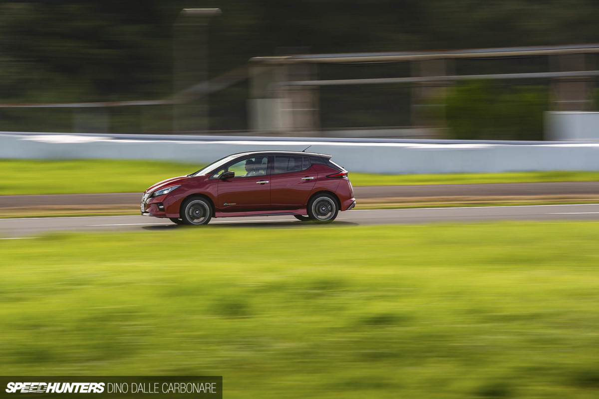 leaf_nismo_dino_dalle_carbonare_02