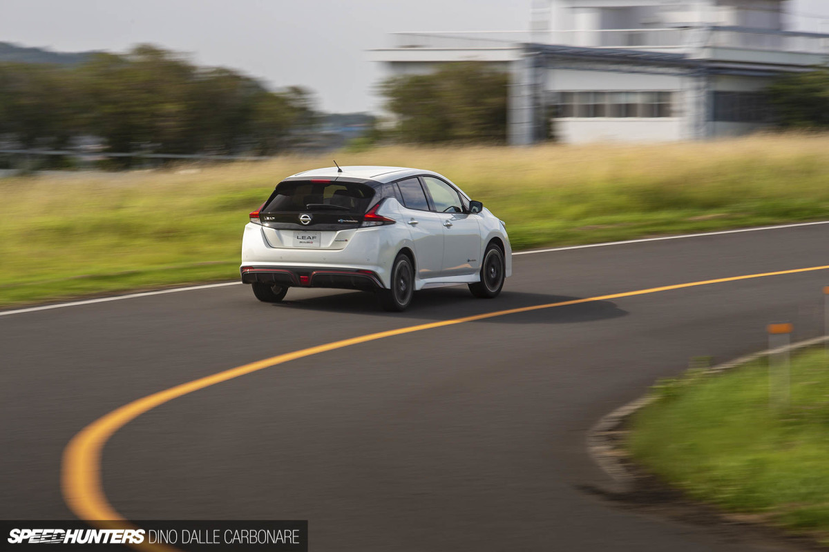 leaf_nismo_dino_dalle_carbonare_03