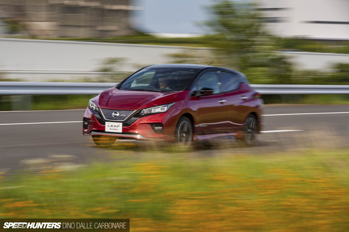 leaf_nismo_dino_dalle_carbonare_05