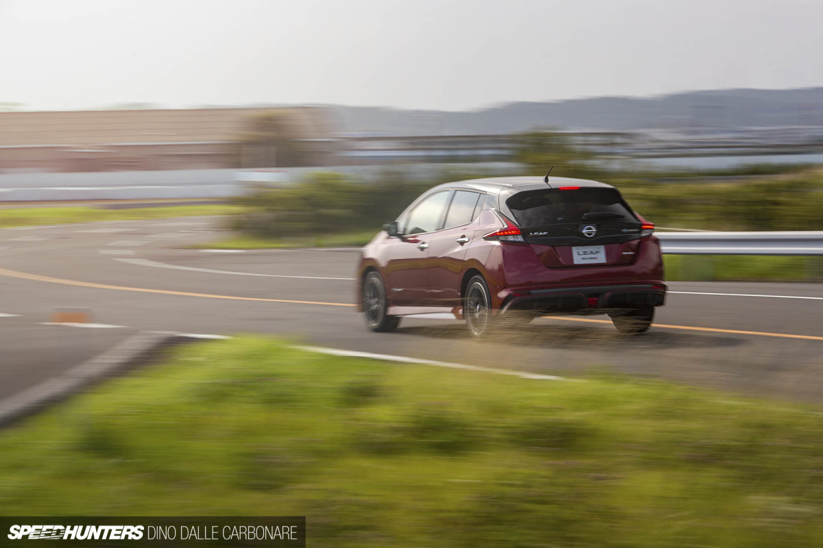 leaf_nismo_dino_dalle_carbonare_06