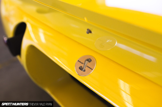 2018-SH-T-10-King-Cobra-Trevor-Ryan_010