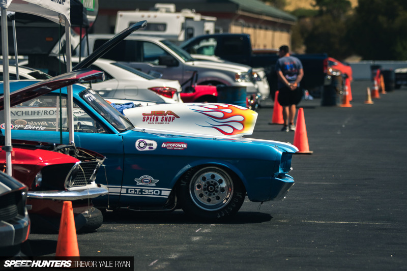 2018-SH-Shelby-Club-SAAC43-Trevor-Ryan_030