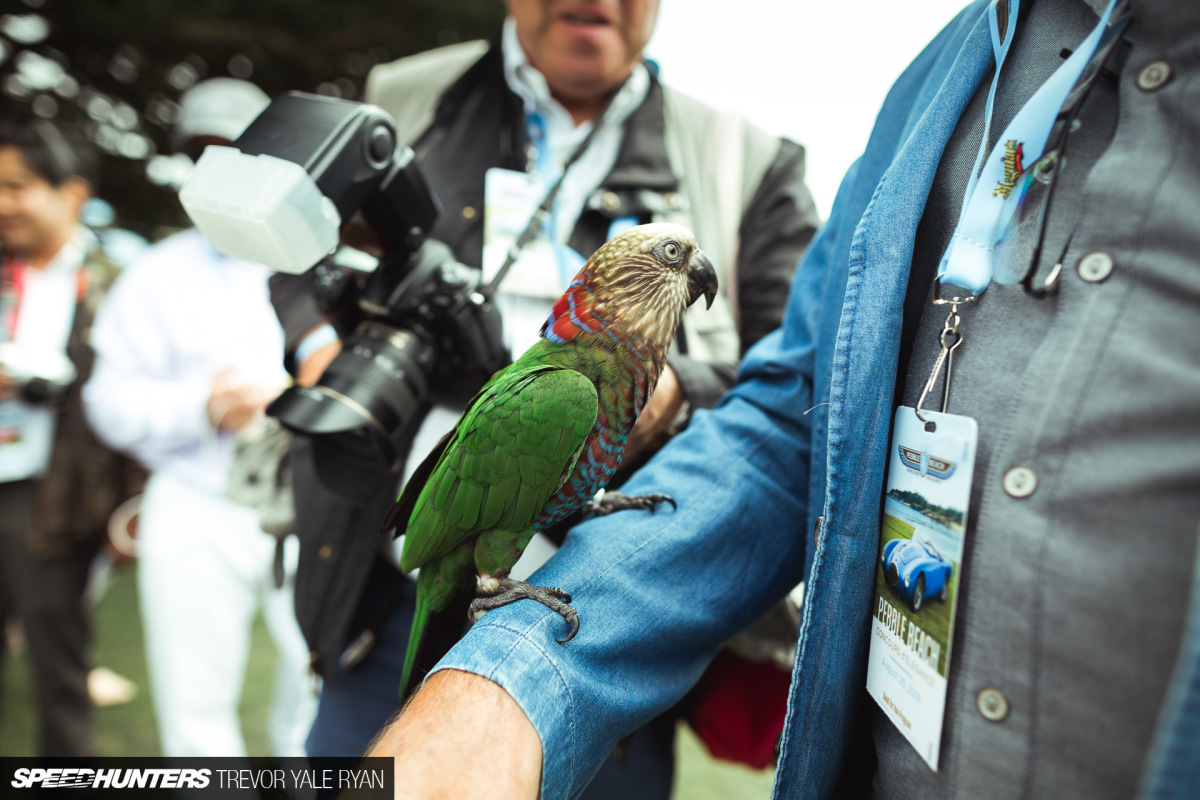 2017-Pebble-Beach-Concours-d-Elegance-By-Trevor-Ryan-021