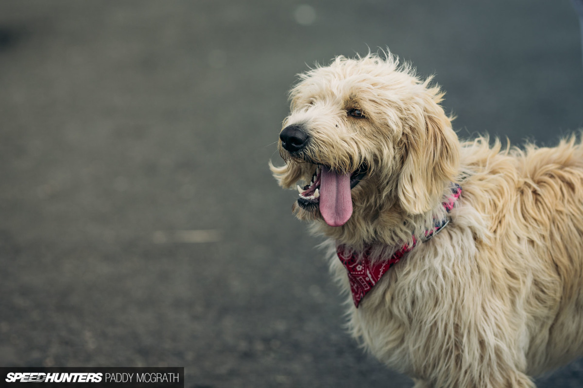2018 Juicebox BBQ Speedhunters by Paddy McGrath-6