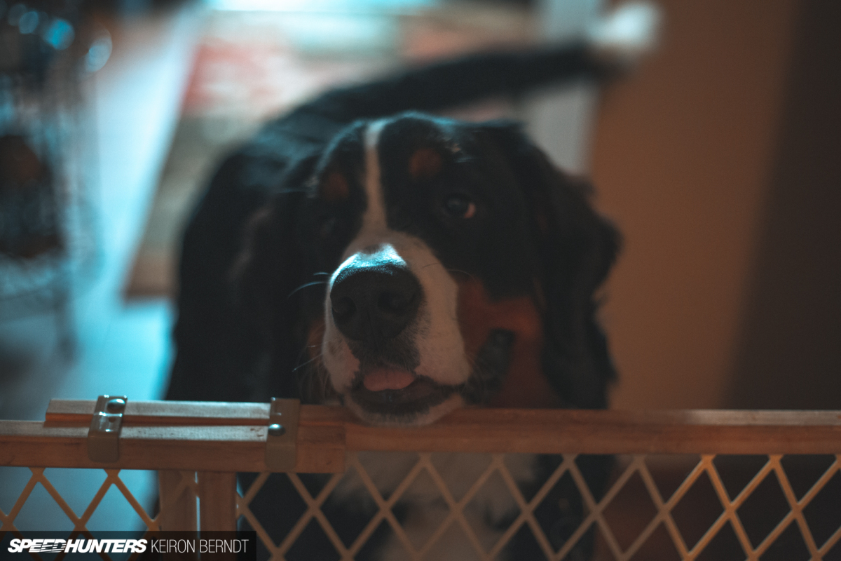 Keiron Berndt - Mustang Kyle - h2oi 2018 Road Trip - Speedhunters