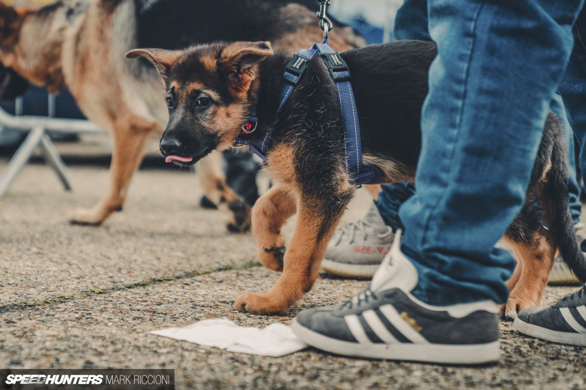 2018 Players 12 for Speedhunters by Mark Riccioni-95