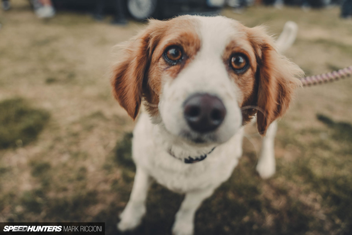 2018 Players 12 for Speedhunters by Mark Riccioni-107