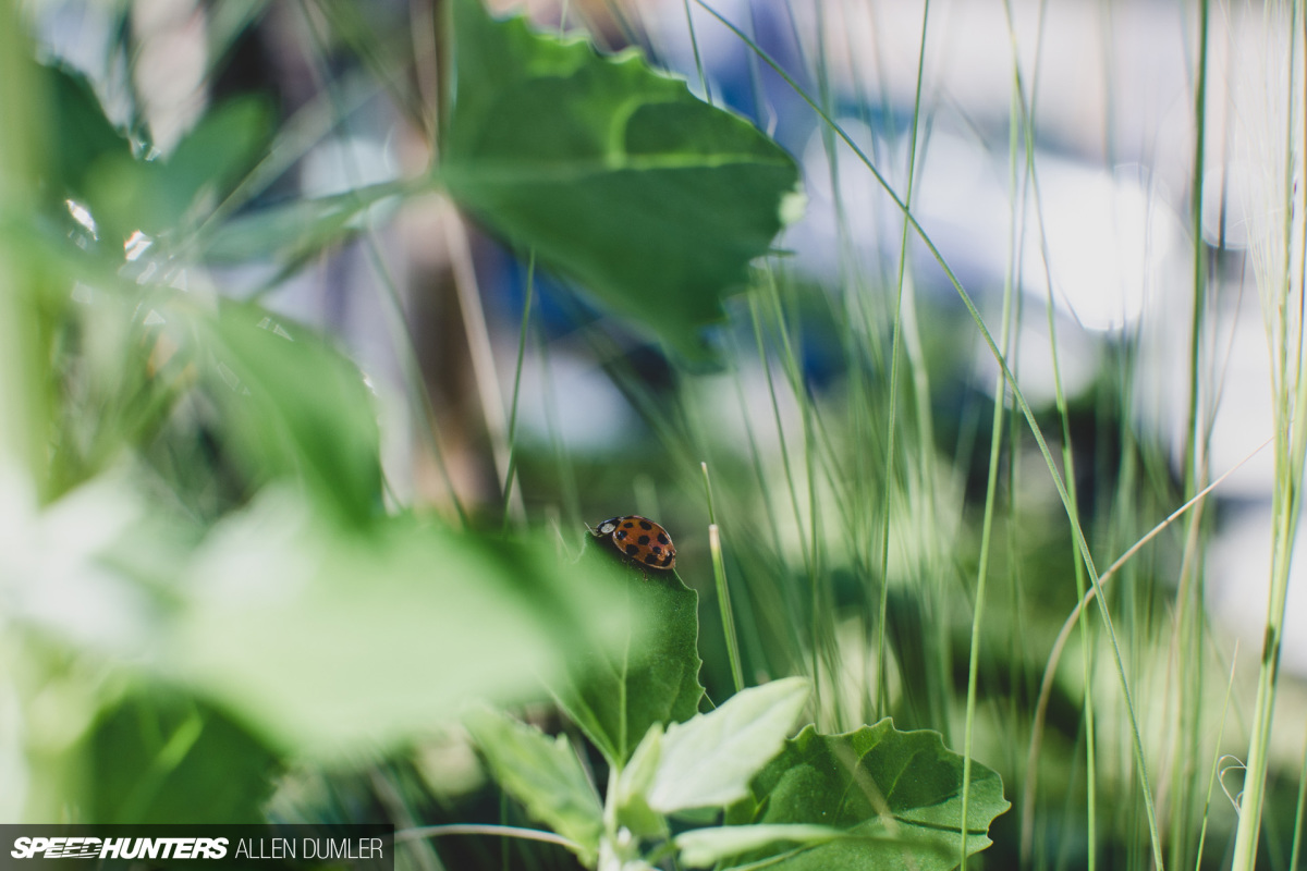 Speedhunters_IATS_Luft_Germany_8495