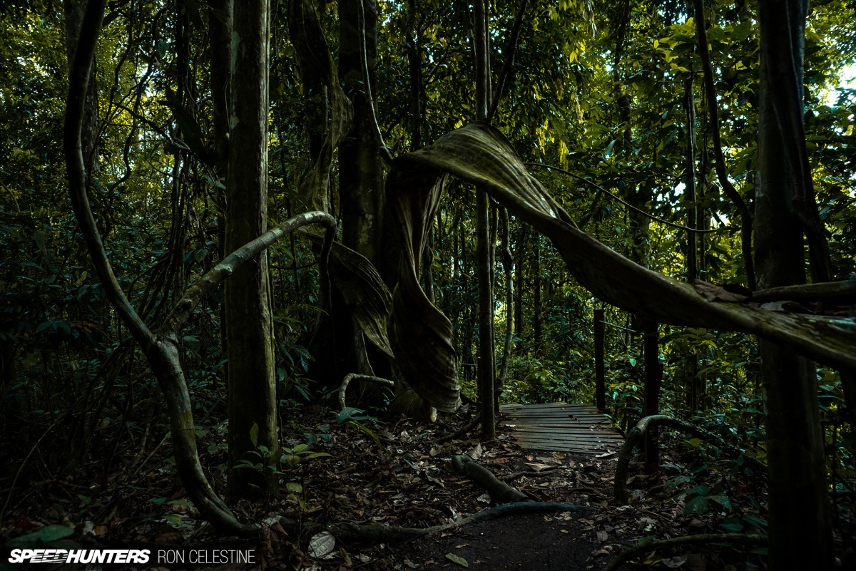 Ron_Celestine_Speedhunters_Tawau_Forest