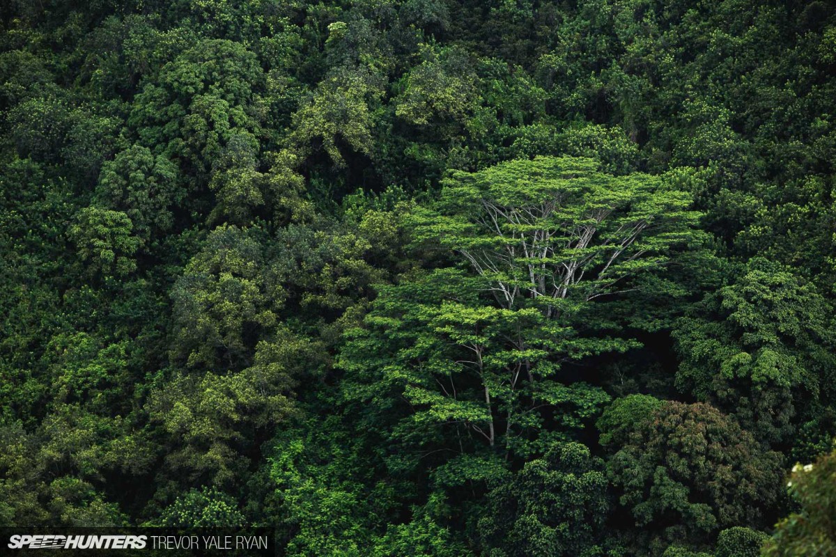 2018-SH_2018-Recap_Trevor-Ryan-201_2819