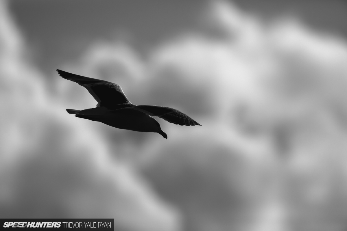 2018-SH_2018-Recap_Trevor-Ryan-502_9760