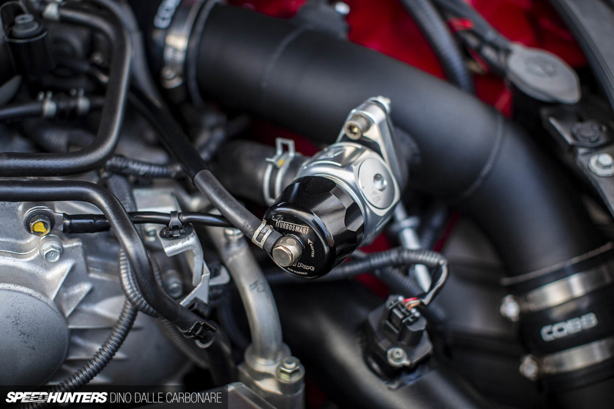 rgf_dino_dalle_carbonare_06