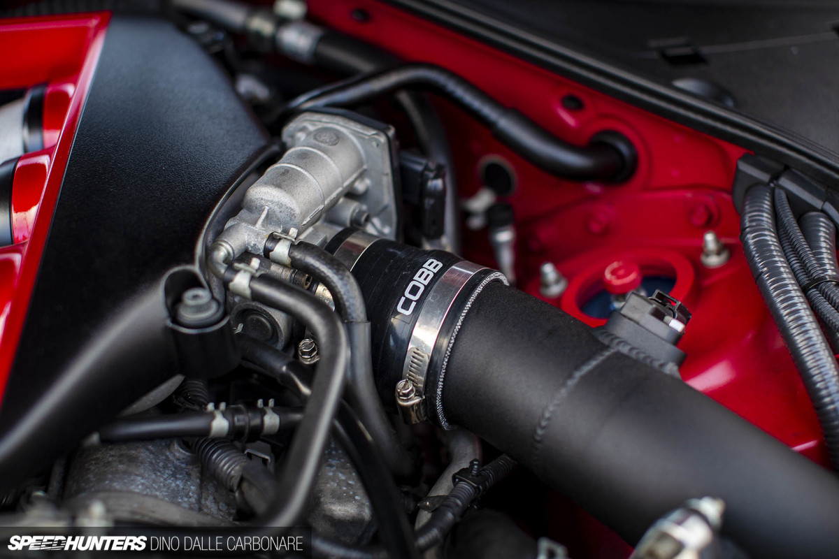 rgf_dino_dalle_carbonare_07