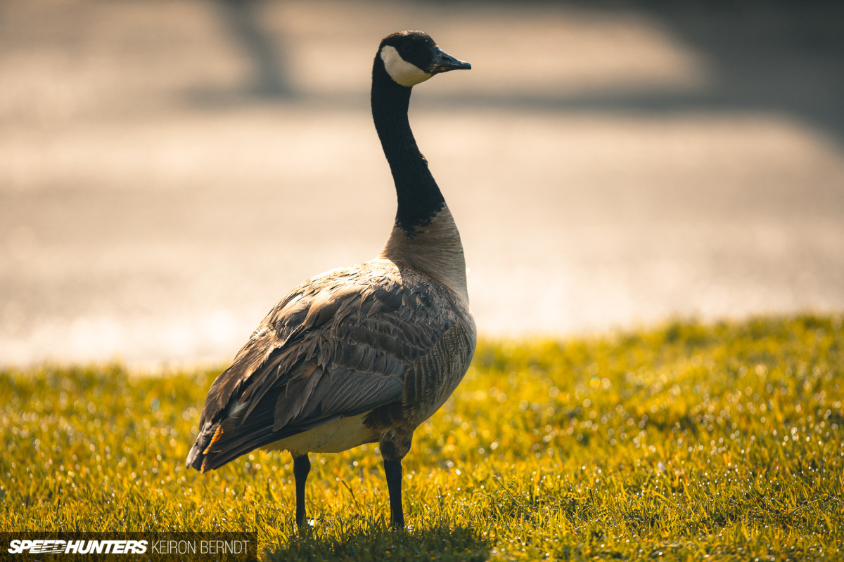 Luftgekühlt 6 - Keiron Berndt - Speedhunters - 2019