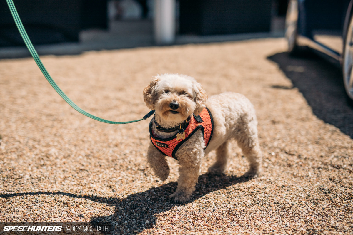 2019 PC Goodwood Speedhunters by Paddy McGrath-49