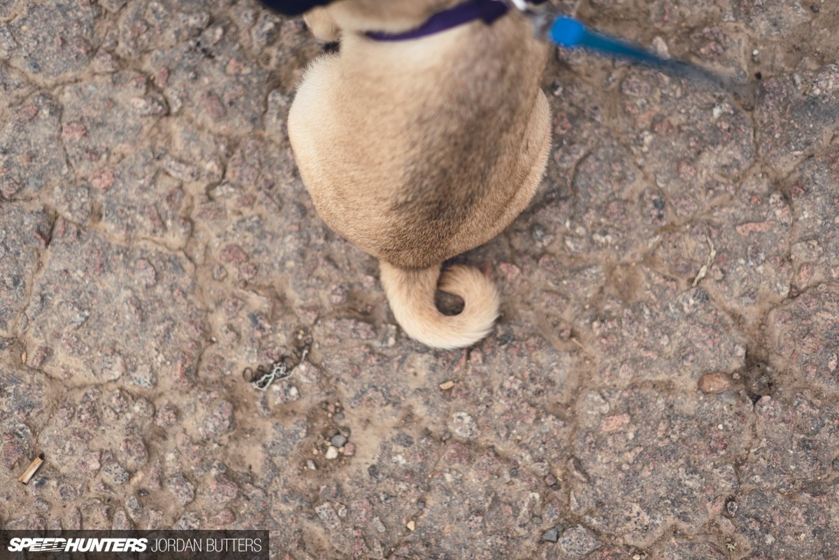 LIGHT SPEED CAFFEINE MACHINE SPEEDHUNTERS Â©JORDAN BUTTERS-5666
