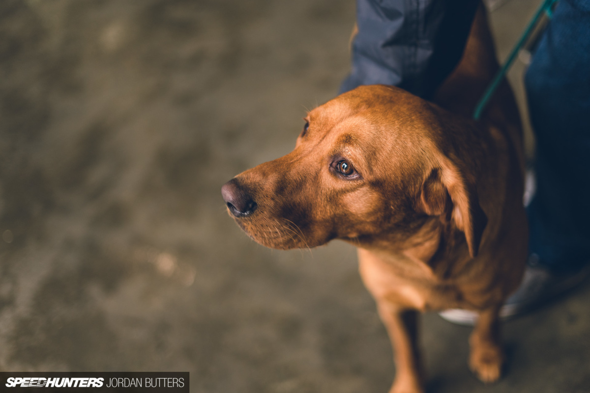 MEGUIARS BBQ CLUB 2019 SPEEDHUNTERS Â©JORDAN BUTTERS-7146