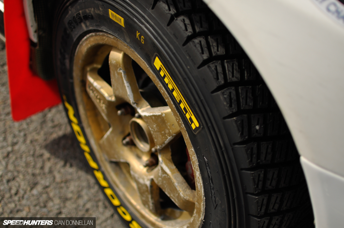 2019_Cork_Forest_Cian_Donnellan (1)