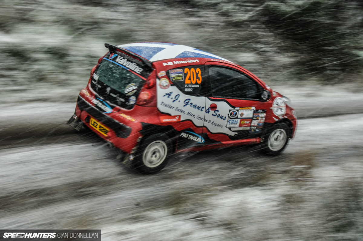 Limerick_Forest_Cian_Donnellan (1)