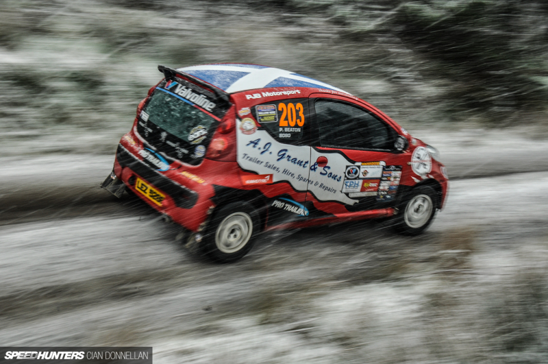 Limerick_Forest_Cian_Donnellan&nbsp;(1)