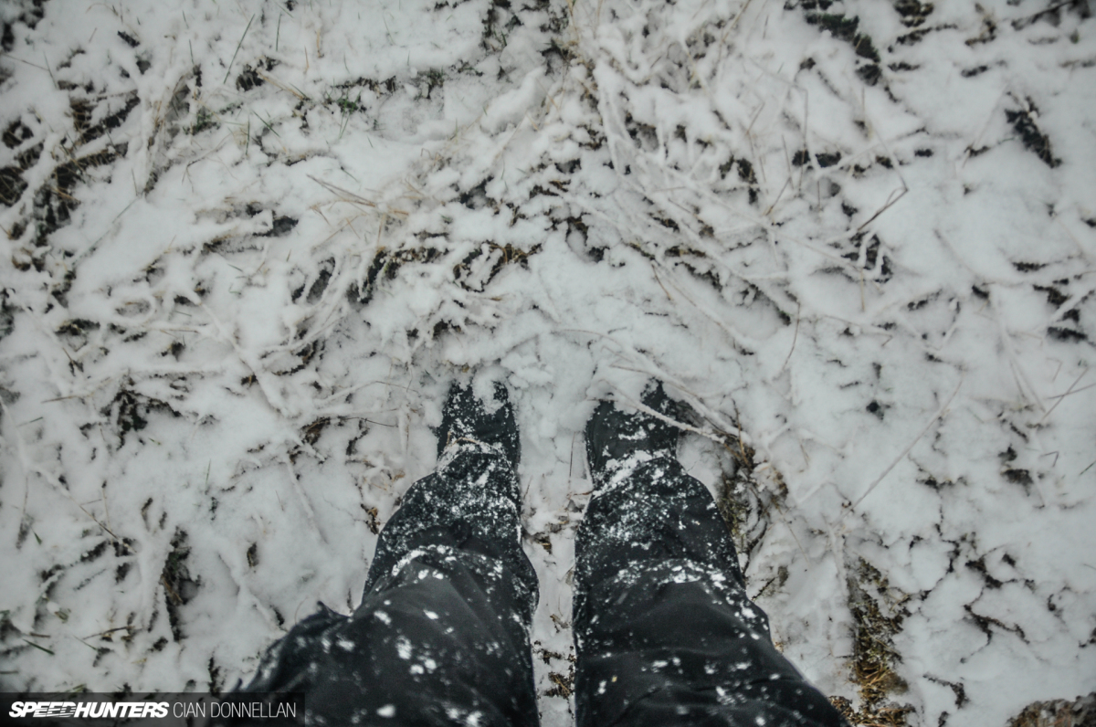 Limerick_Forest_Cian_Donnellan (3)