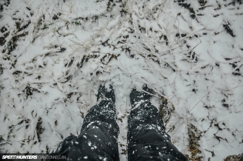 Limerick_Forest_Cian_Donnellan&nbsp;(3)