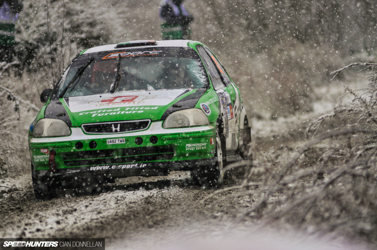 Limerick_Forest_Cian_Donnellan (5)