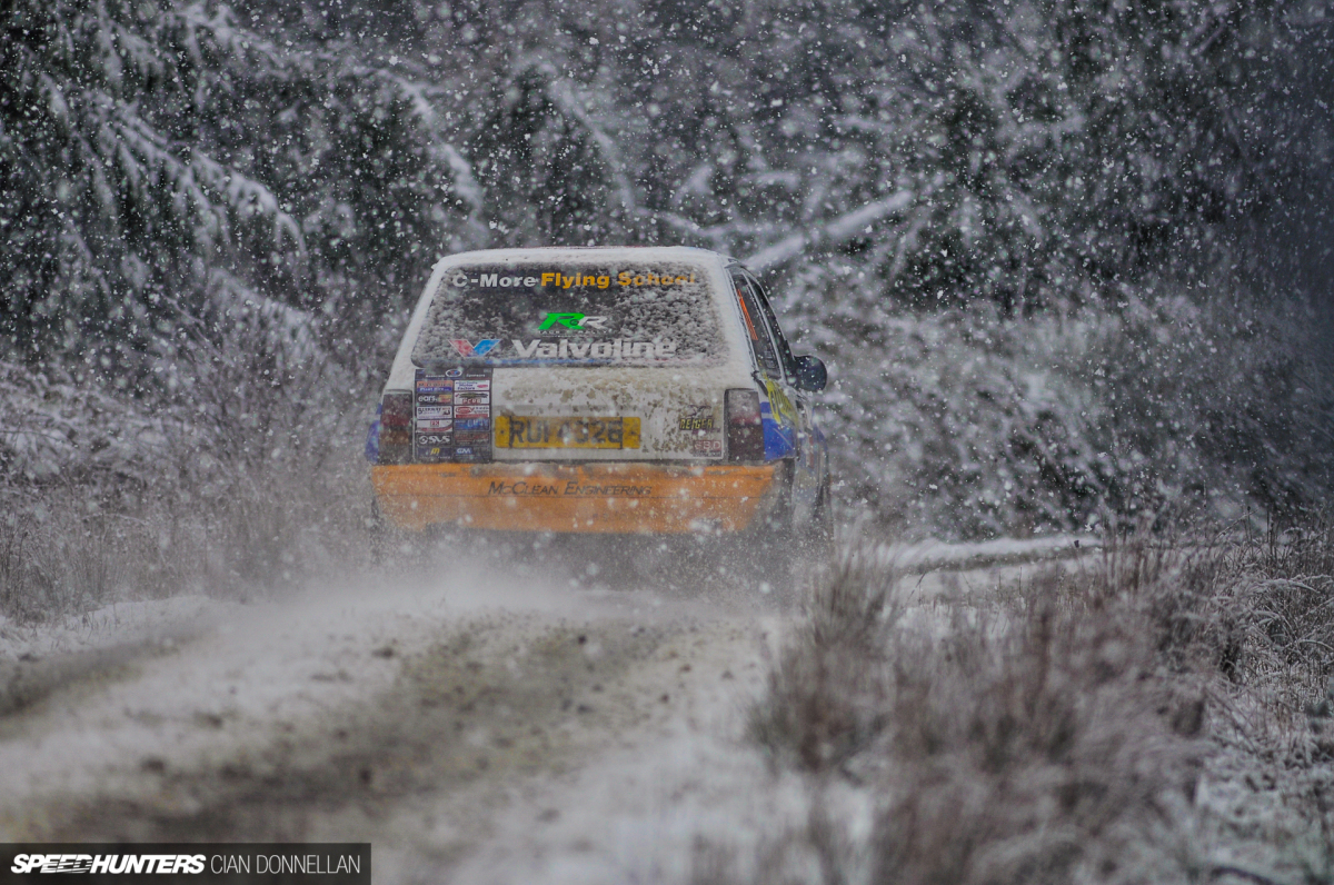 Limerick_Forest_Cian_Donnellan (7)