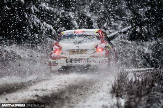 Limerick_Forest_Cian_Donnellan&nbsp;(8)